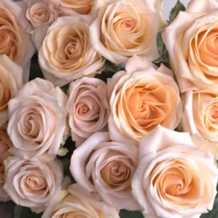 Build Your Own Rose & Carnation Box (2 bunch minimum) - Image 42