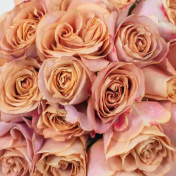 Build Your Own Rose & Carnation Box (2 bunch minimum) - Image 44