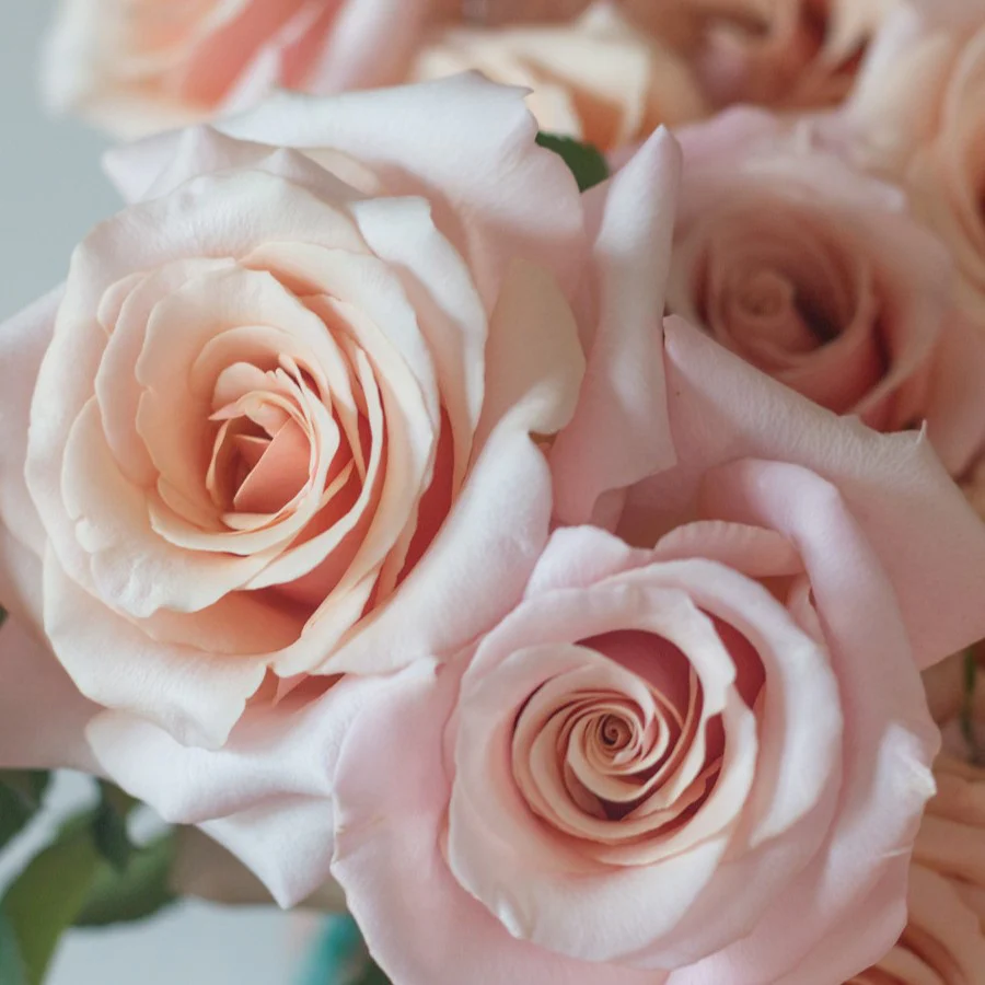Build Your Own Rose & Carnation Box (2 bunch minimum) - Image 50