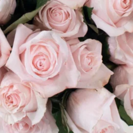 Build Your Own Rose & Carnation Box (2 bunch minimum) - Image 51