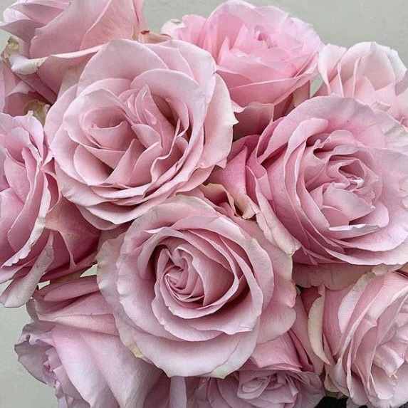 Build Your Own Rose & Carnation Box (2 bunch minimum) - Image 52