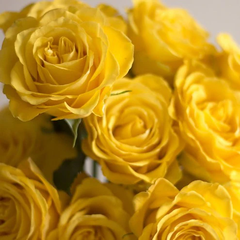 Build Your Own Rose & Carnation Box (2 bunch minimum) - Image 6