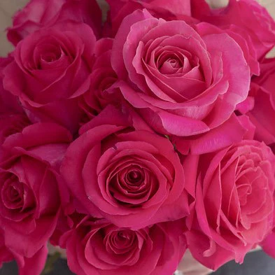 Build Your Own Rose & Carnation Box (2 bunch minimum) - Image 7