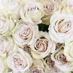 Build Your Own Rose Box (2 bunch minimum) - Image 10