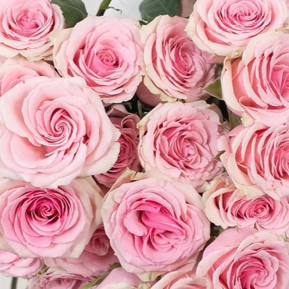 Build Your Own Rose Box (2 bunch minimum) - Image 14