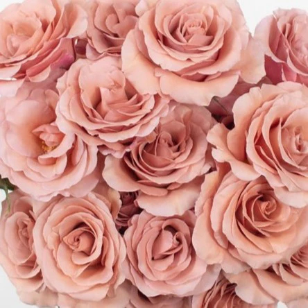 Build Your Own Rose Box (2 bunch minimum) - Image 16