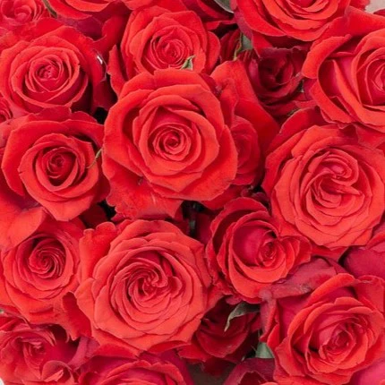 Build Your Own Rose Box (2 bunch minimum) - Image 21