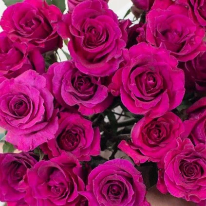 Build Your Own Rose Box (2 bunch minimum) - Image 24