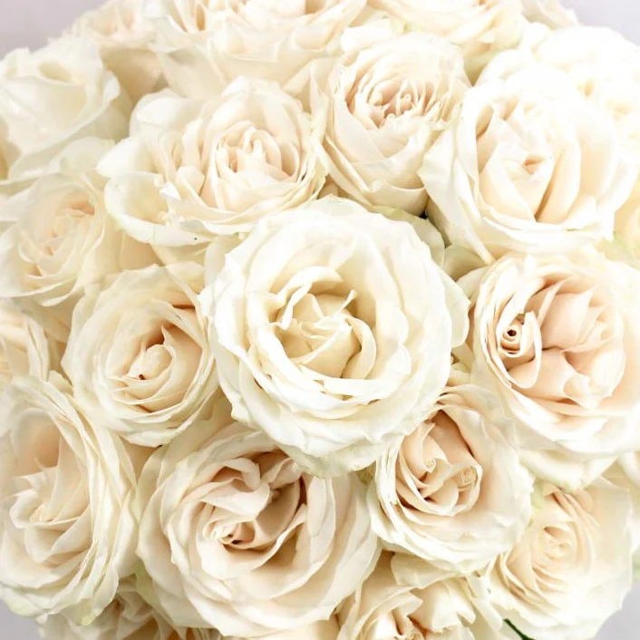Build Your Own Rose Box (2 bunch minimum) - Image 29