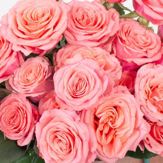 Build Your Own Rose Box (2 bunch minimum) - Image 37