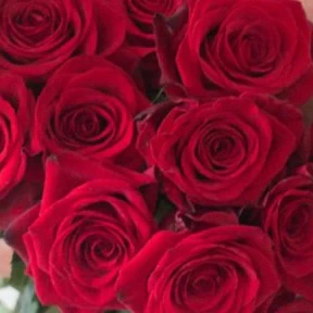 Build Your Own Rose Box (2 bunch minimum) - Image 38