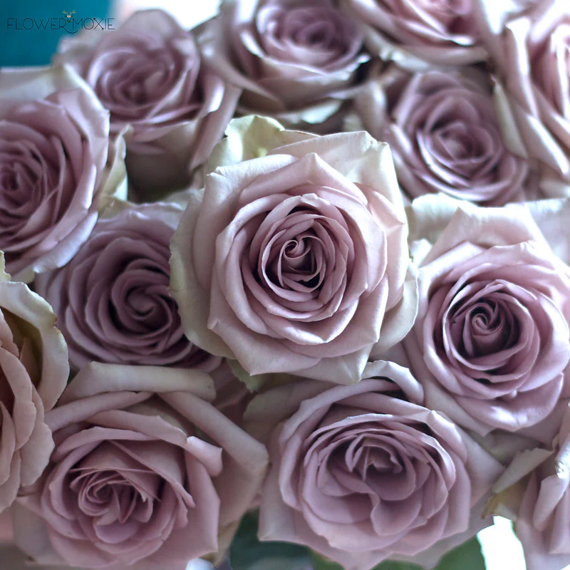 Build Your Own Rose Box (2 bunch minimum) - Image 4