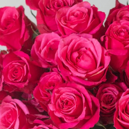 Build Your Own Rose Box (2 bunch minimum) - Image 41
