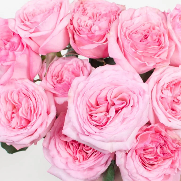 Build Your Own Rose Box (2 bunch minimum) - Image 46
