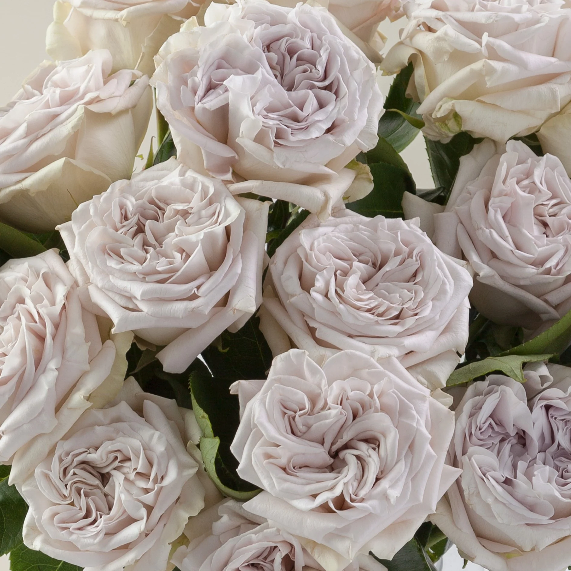 Build Your Own Rose Box (2 bunch minimum) - Image 48
