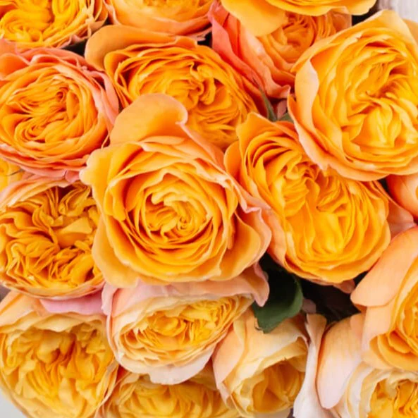 Build Your Own Rose Box (2 bunch minimum) - Image 49