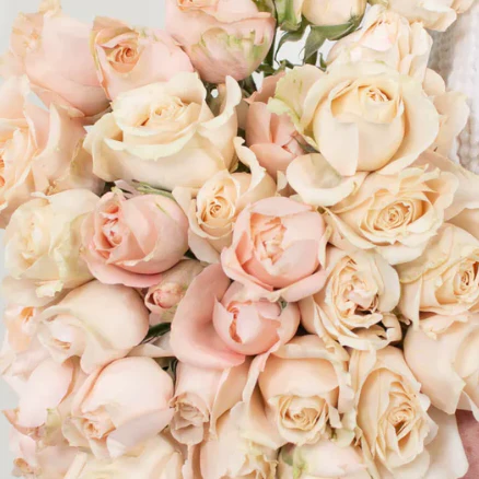 Build Your Own Rose & Spray Rose Box (5 bunch minimum) - Image 53