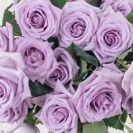 Build Your Own Rose Box (2 bunch minimum) - Image 8