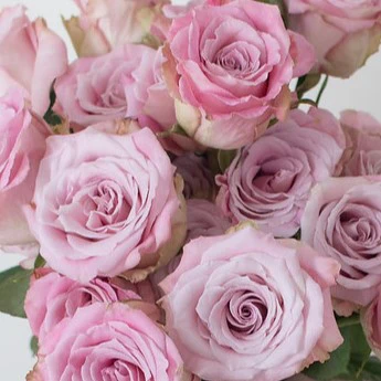 Build Your Own Rose Box (2 bunch minimum) - Image 9