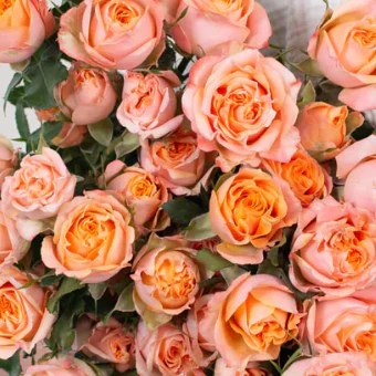 Build Your Own Spray Rose Box (5 bunch minimum) - Image 11