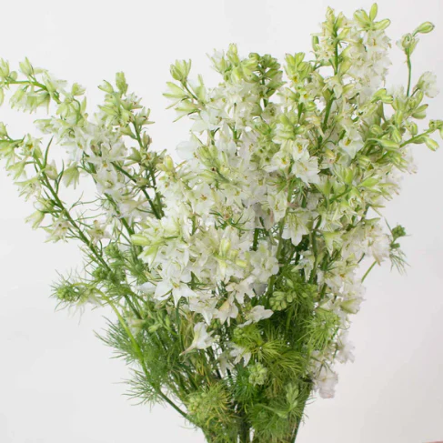 Build Your Own Line Flower Box (5 bunch minimum) - Image 14
