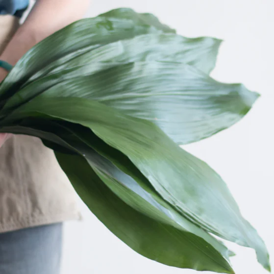Build Your Own Tropical Box (10 bunch minimum) - Image 3