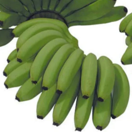 Build Your Own Tropical Box (10 bunch minimum) - Image 32