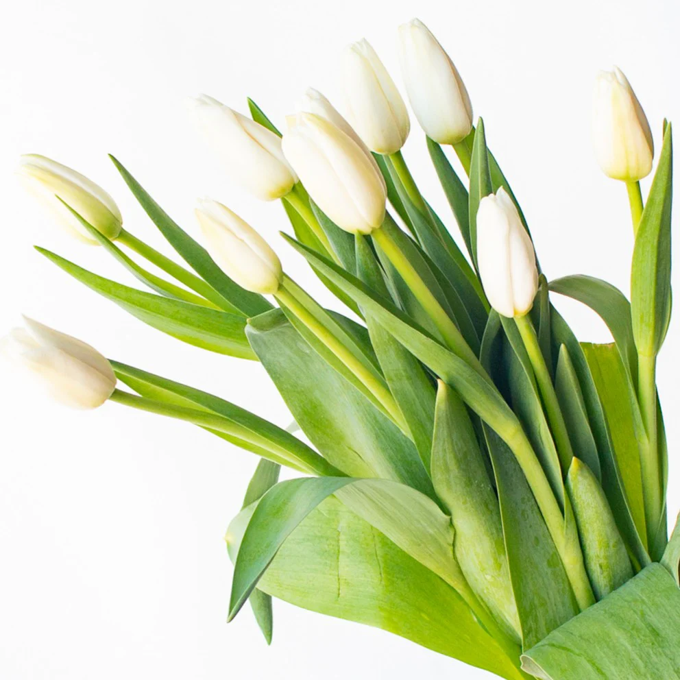 Build Your Own Tulip Box (5 bunch minimum) - Image 5
