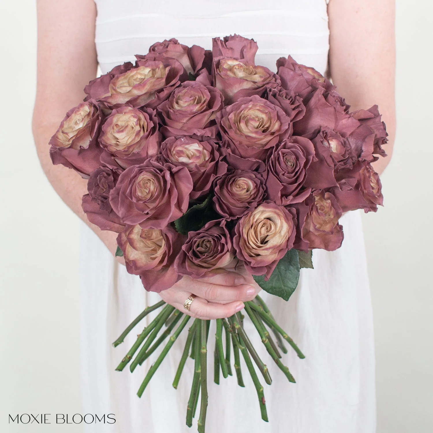 Antique Berry Novelty Rose - Image 3