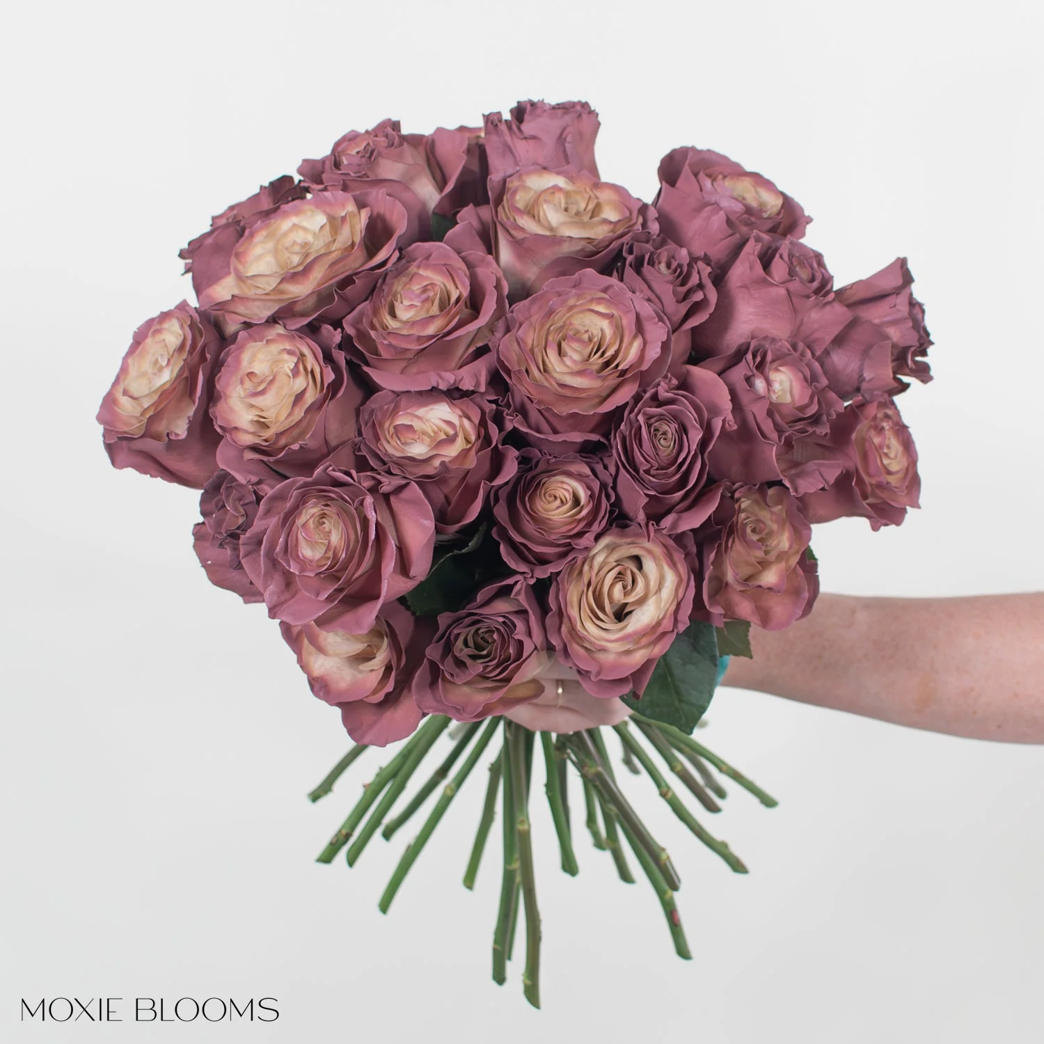 Antique Berry Novelty Rose - Image 5