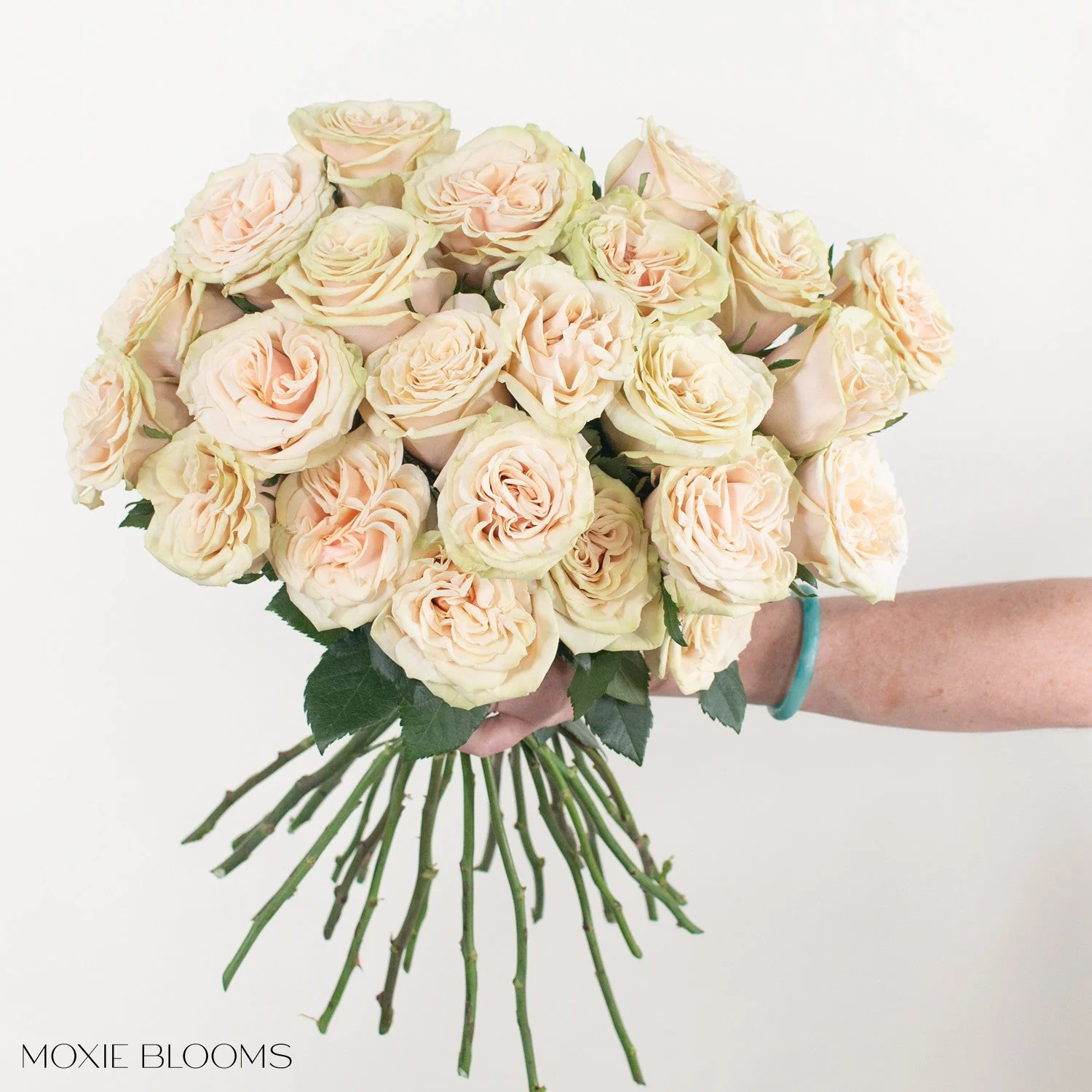 Blush Cream Cute Enigma Roses - Image 5