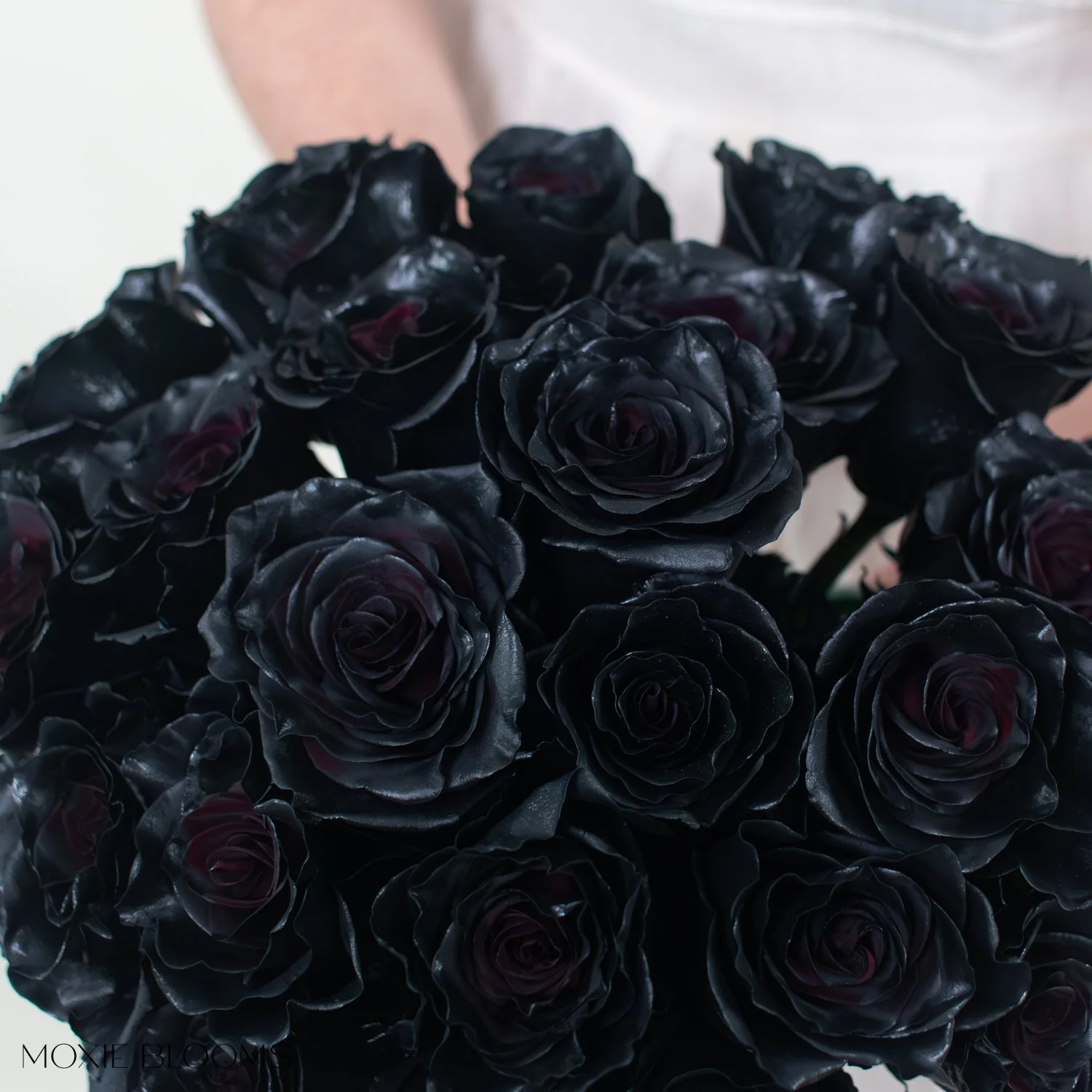 Black Ember Novelty Rose - Image 4
