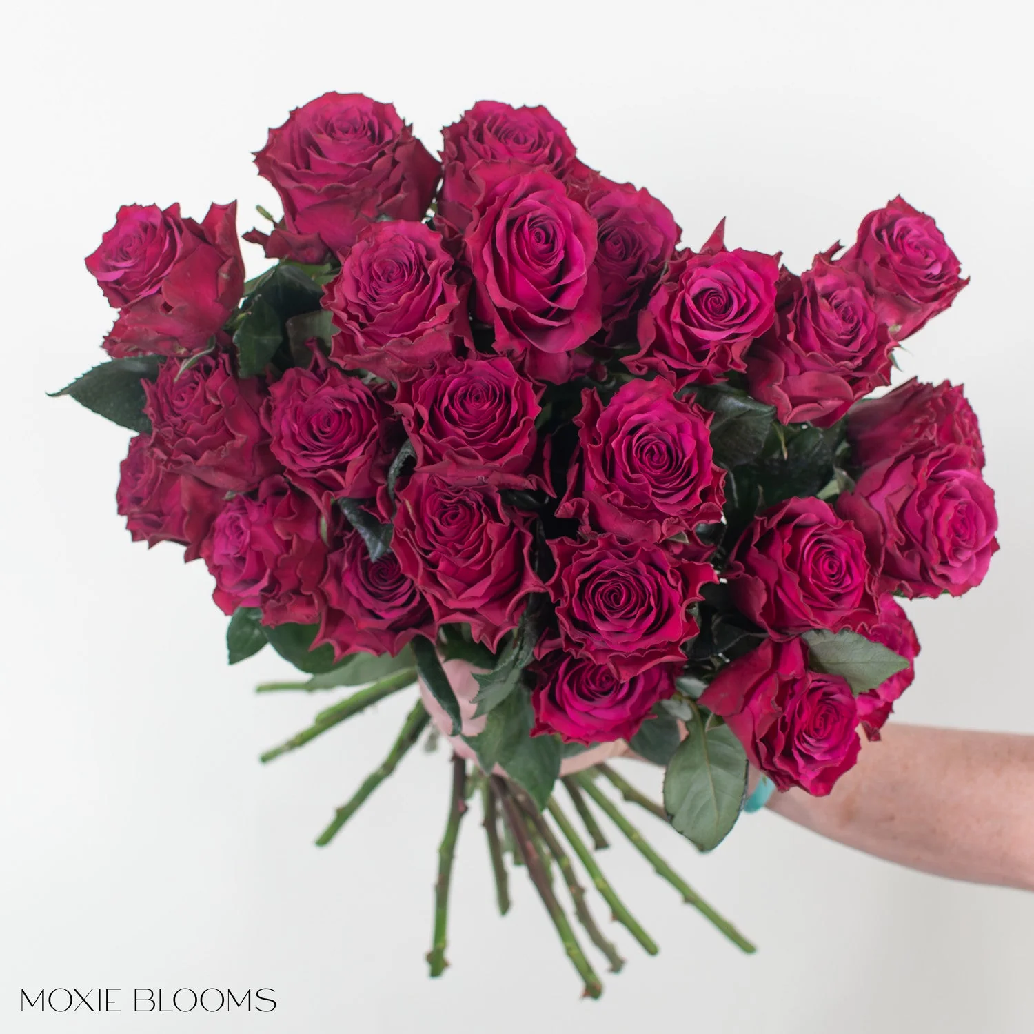 Burgundy Venturoso Rose - Image 4