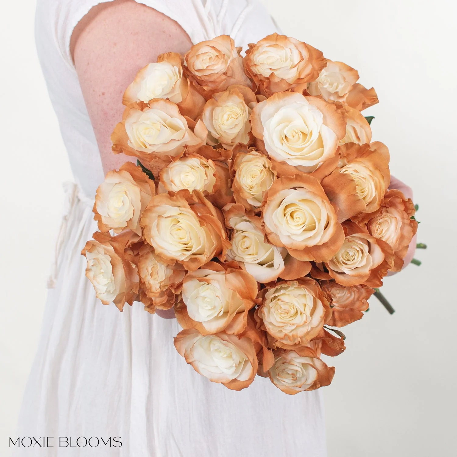 Cinnamon Edge Novelty Rose - Image 4
