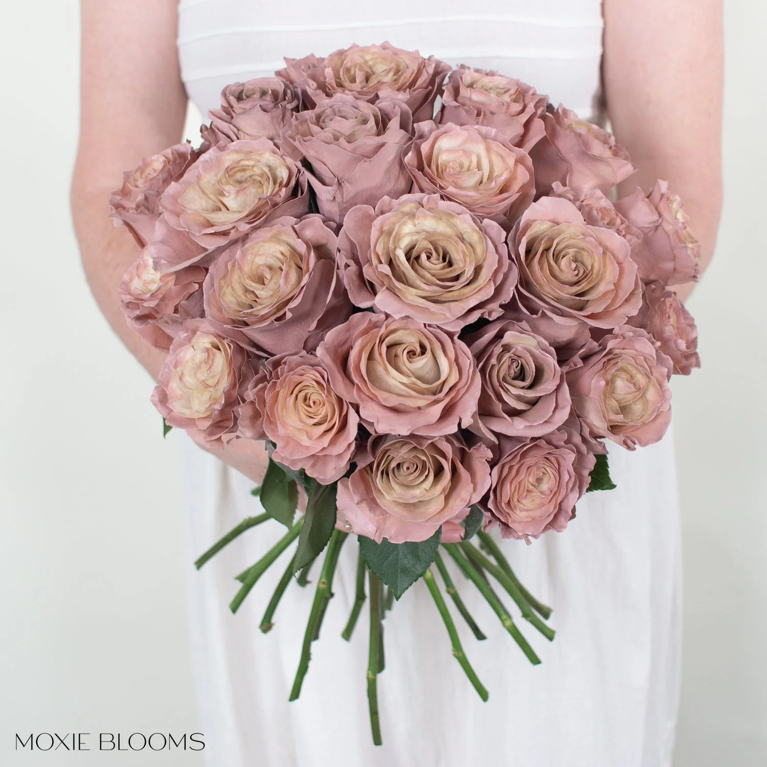 Desert Sand Novelty Rose - Image 3