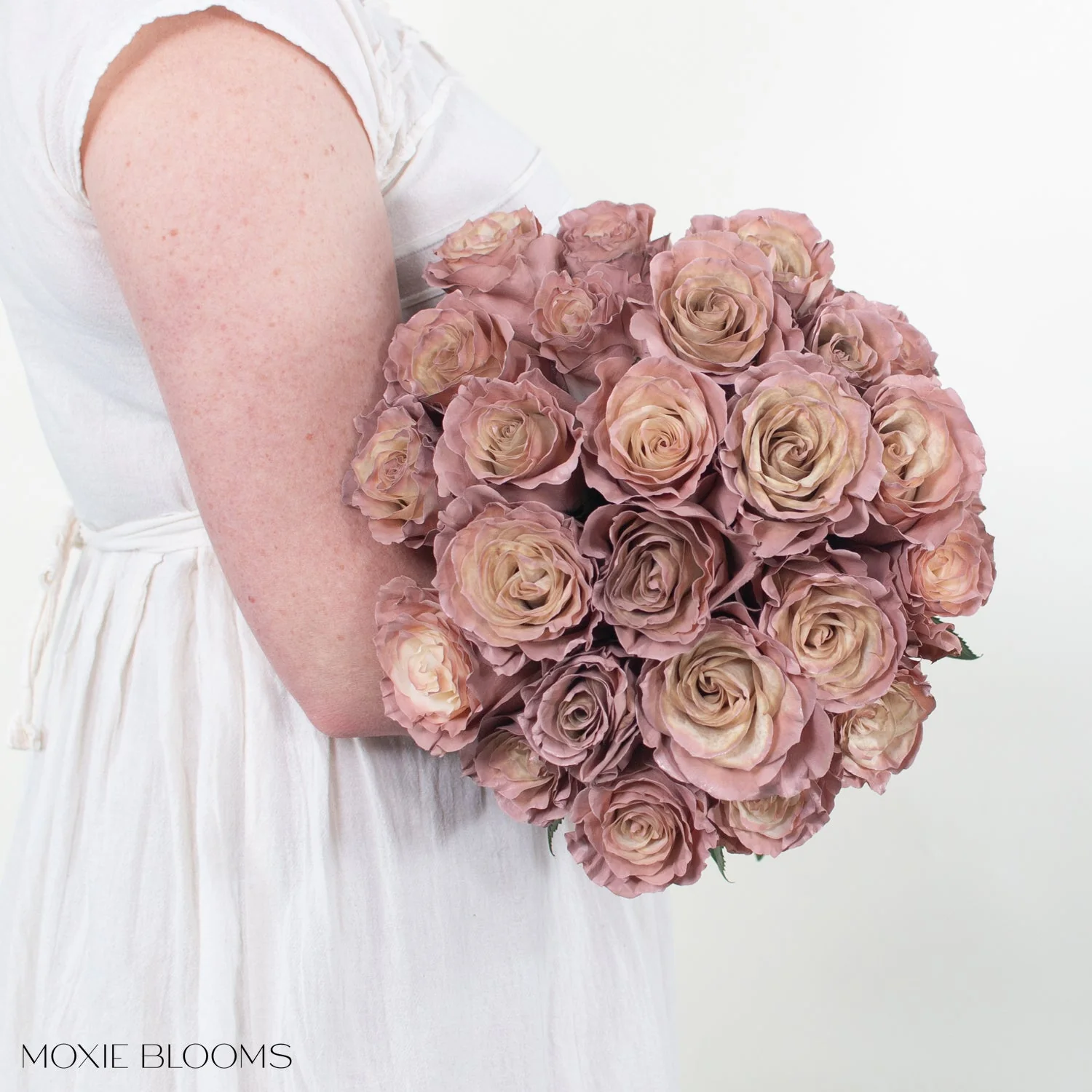 Desert Sand Novelty Rose - Image 4