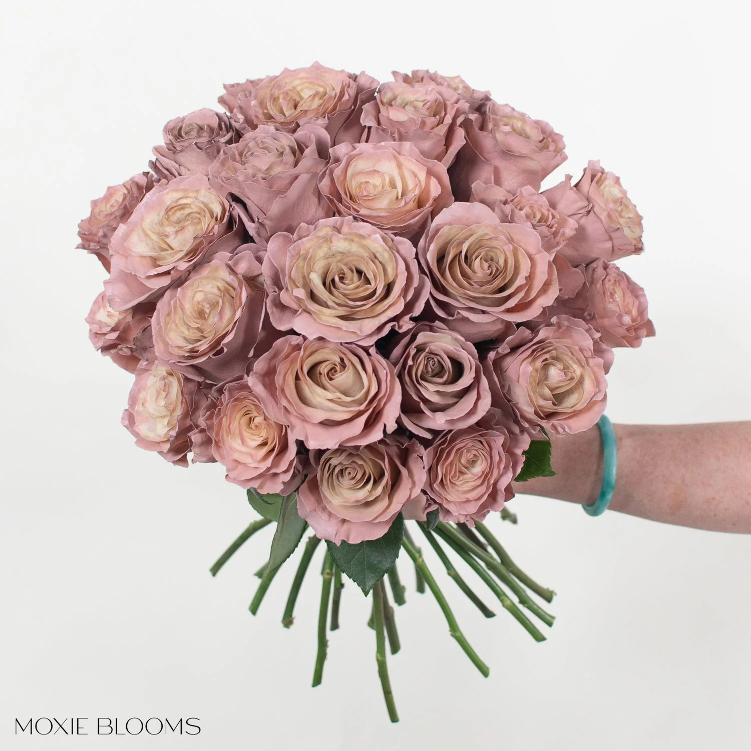 Desert Sand Novelty Rose - Image 5