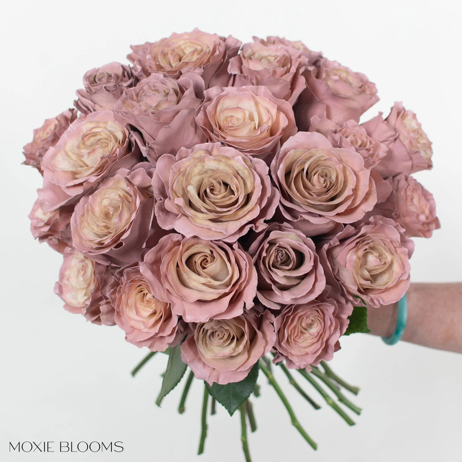 Desert Sand Novelty Rose - Image 6