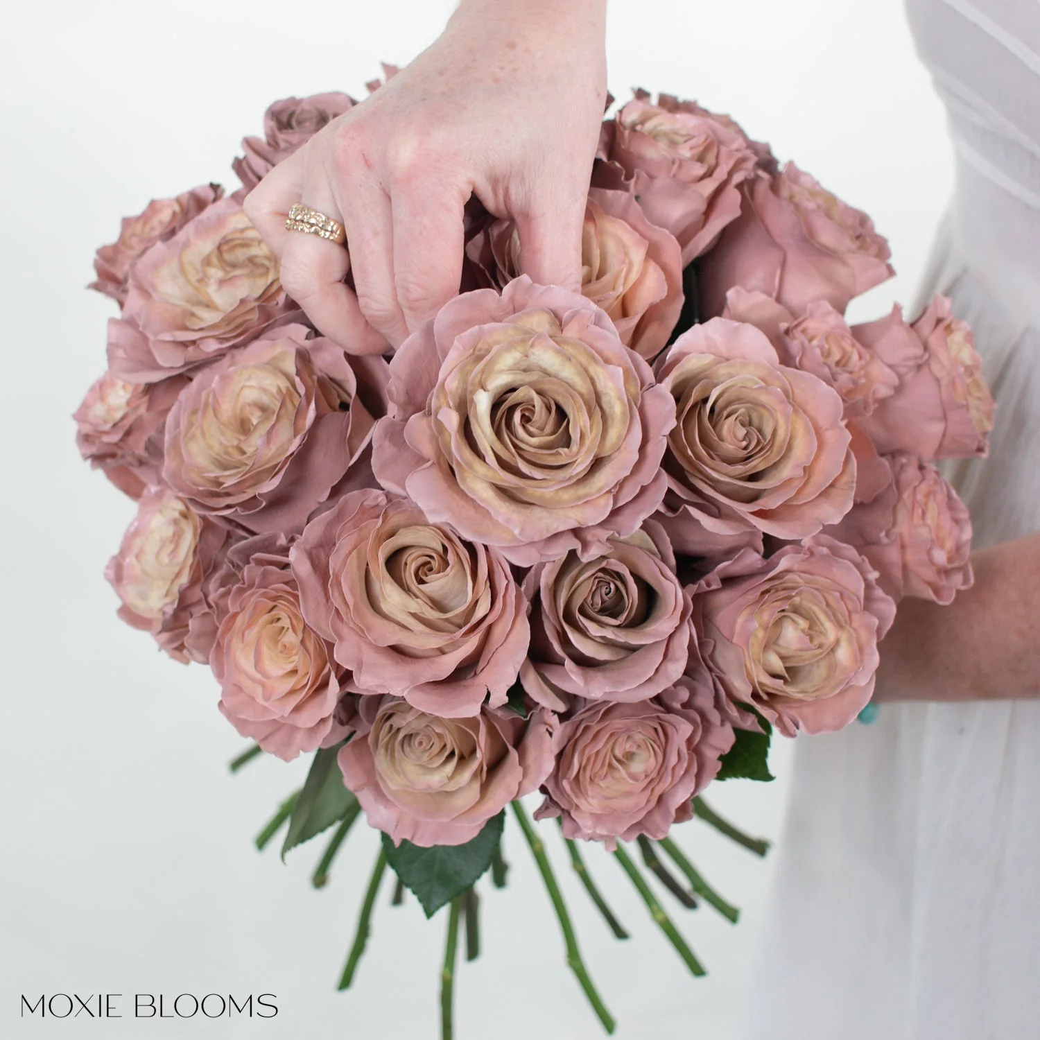 Desert Sand Novelty Rose - Image 7
