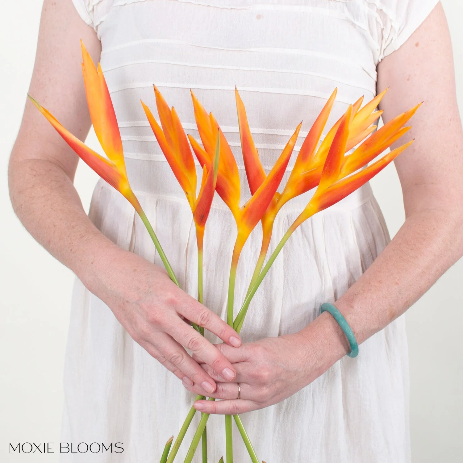 Golden Fire Heliconia - Image 5