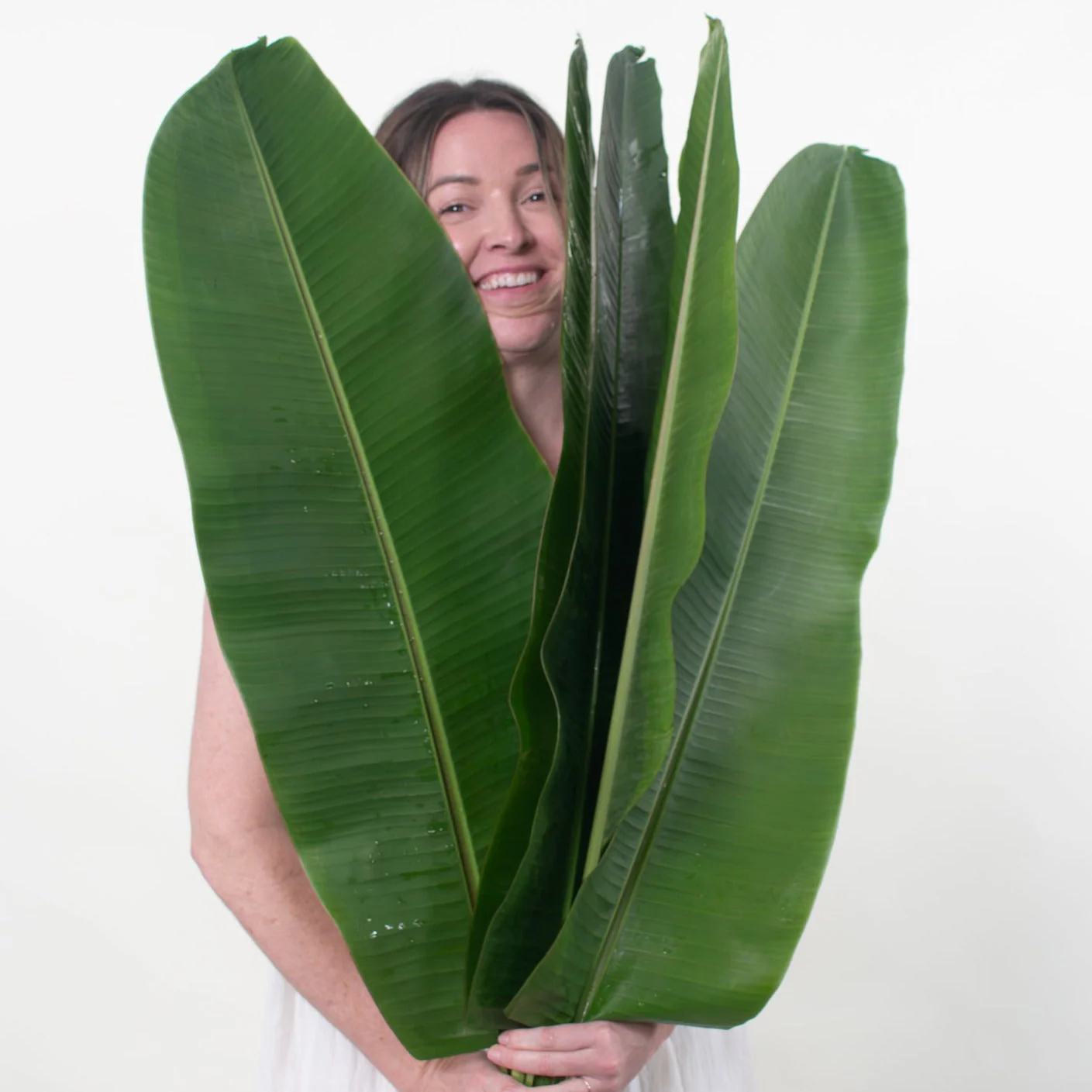 Musa Leaf Greenery - Image 3