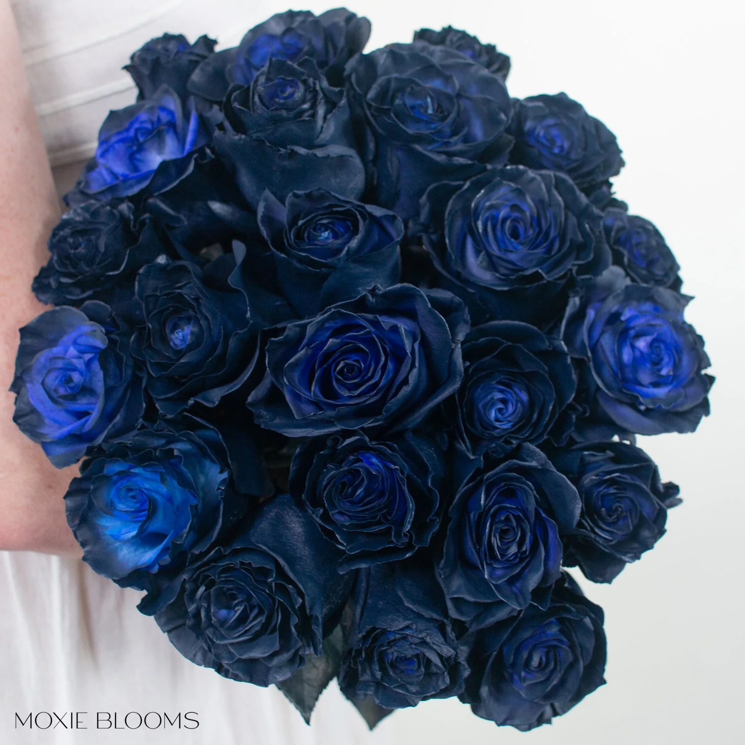 Midnight Navy Novelty Rose - Image 4