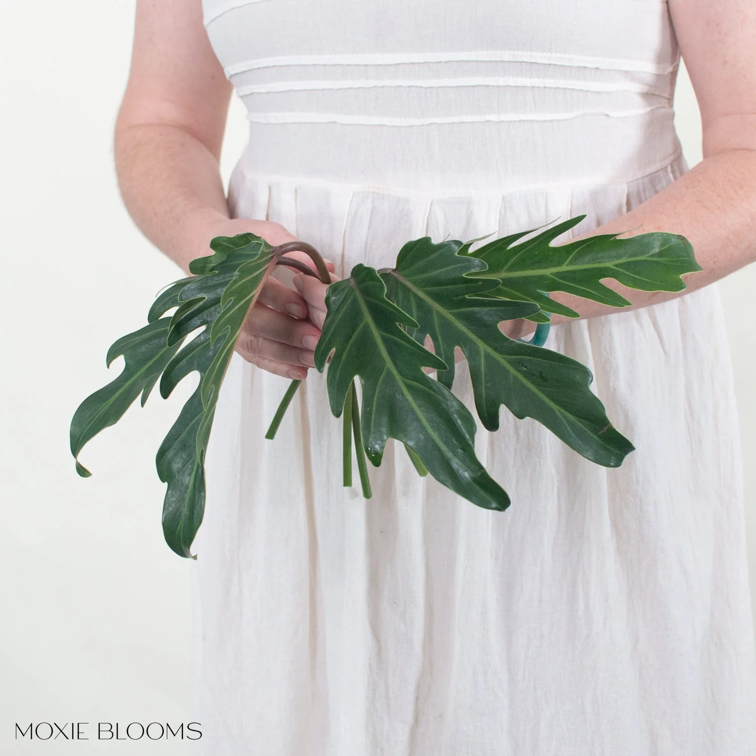 Phi Xanadu Greenery - Image 2