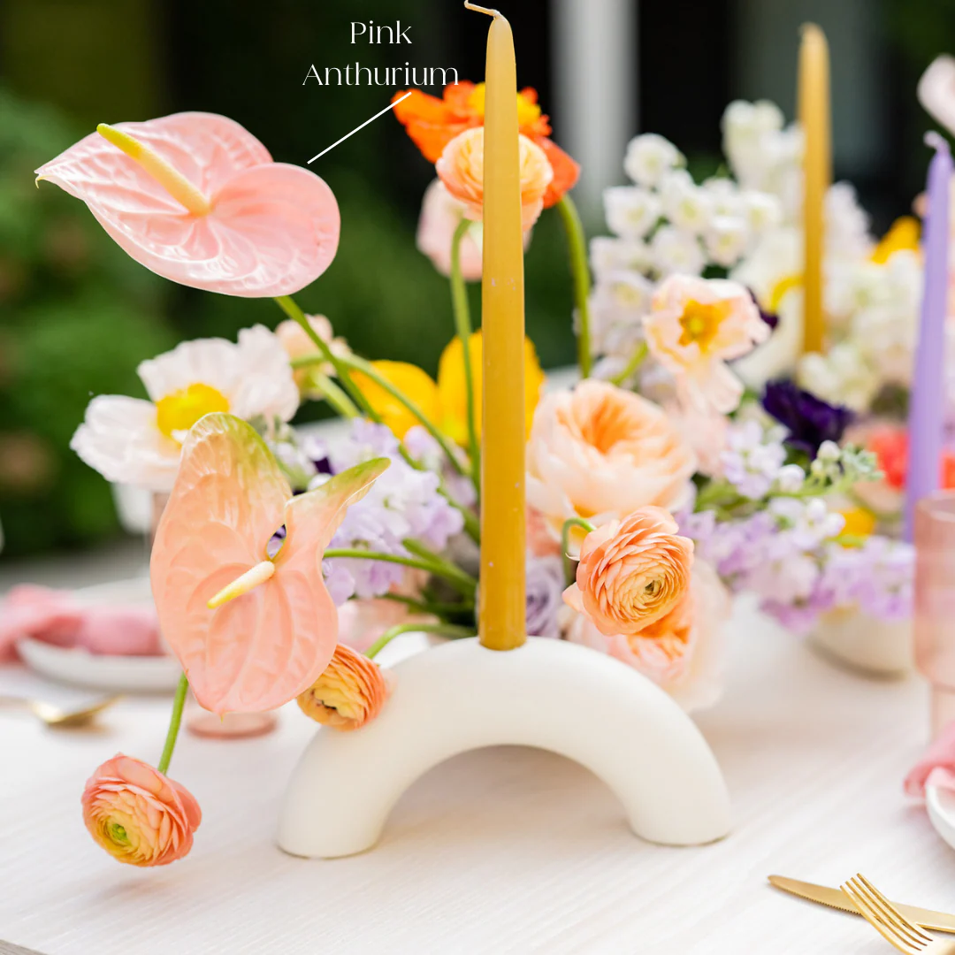 Pink Mix Anthurium - Image 5
