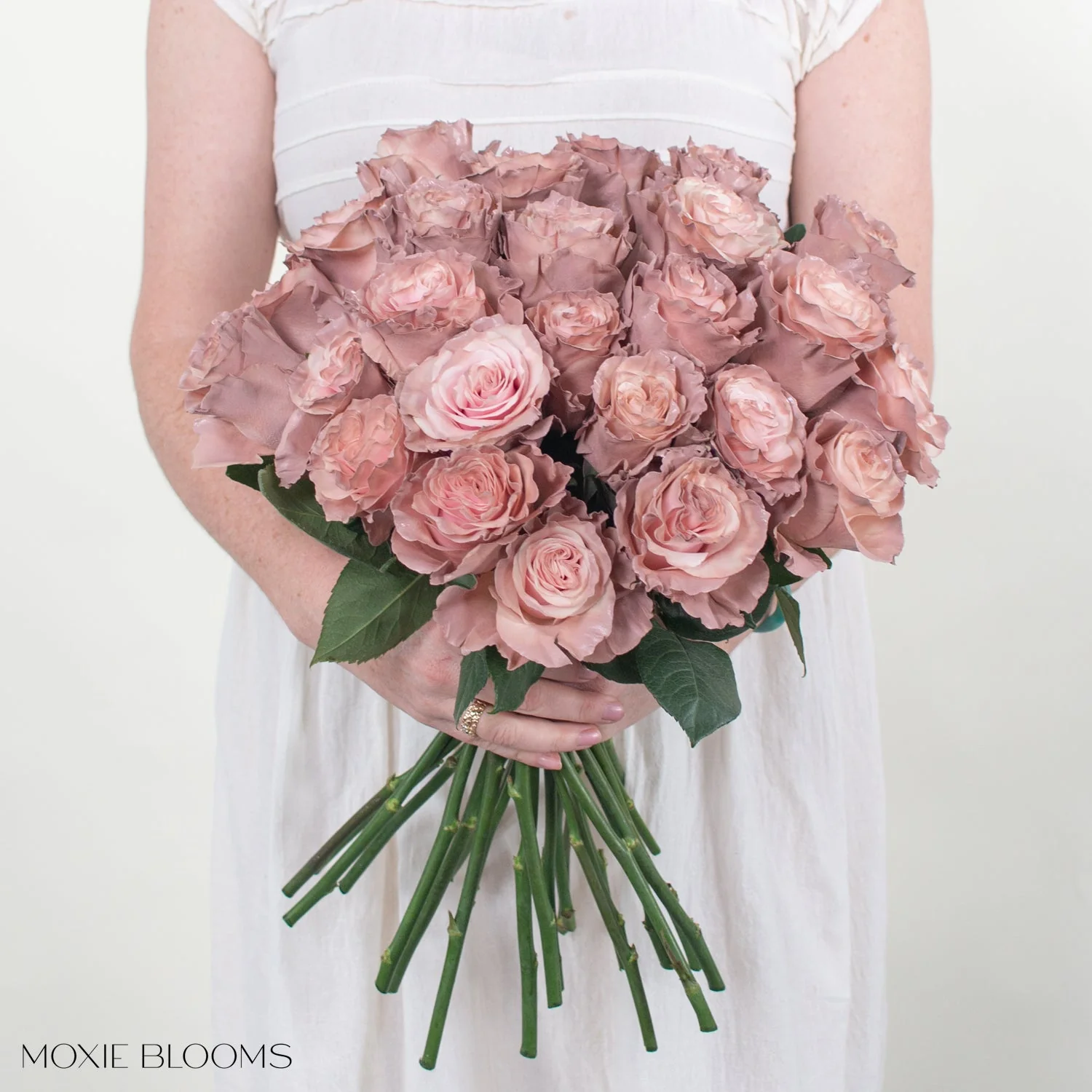 Pink Pearl Novelty Rose - Image 3
