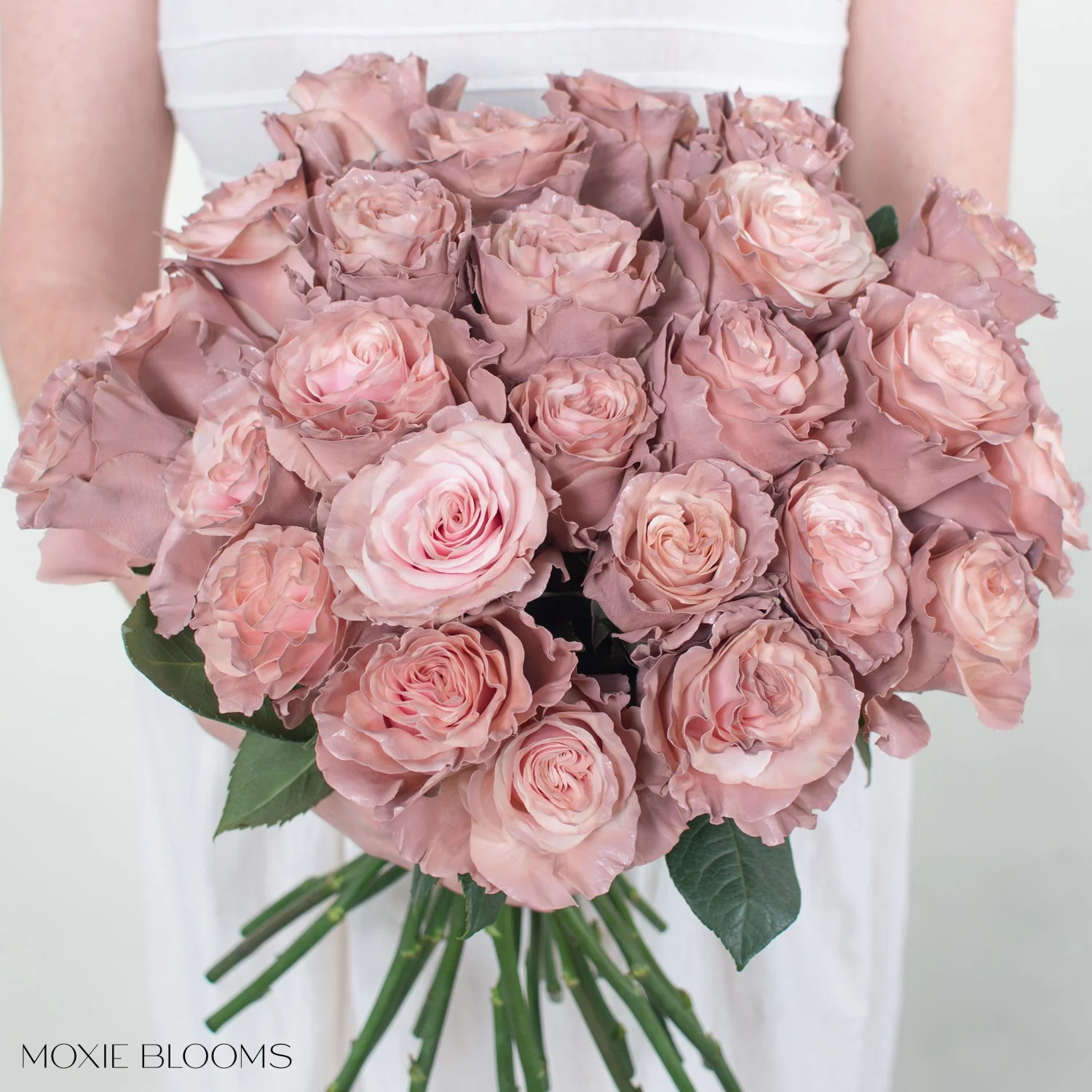 Pink Pearl Novelty Rose - Image 4