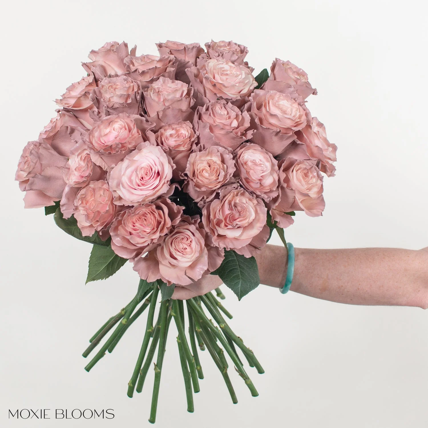 Pink Pearl Novelty Rose - Image 6