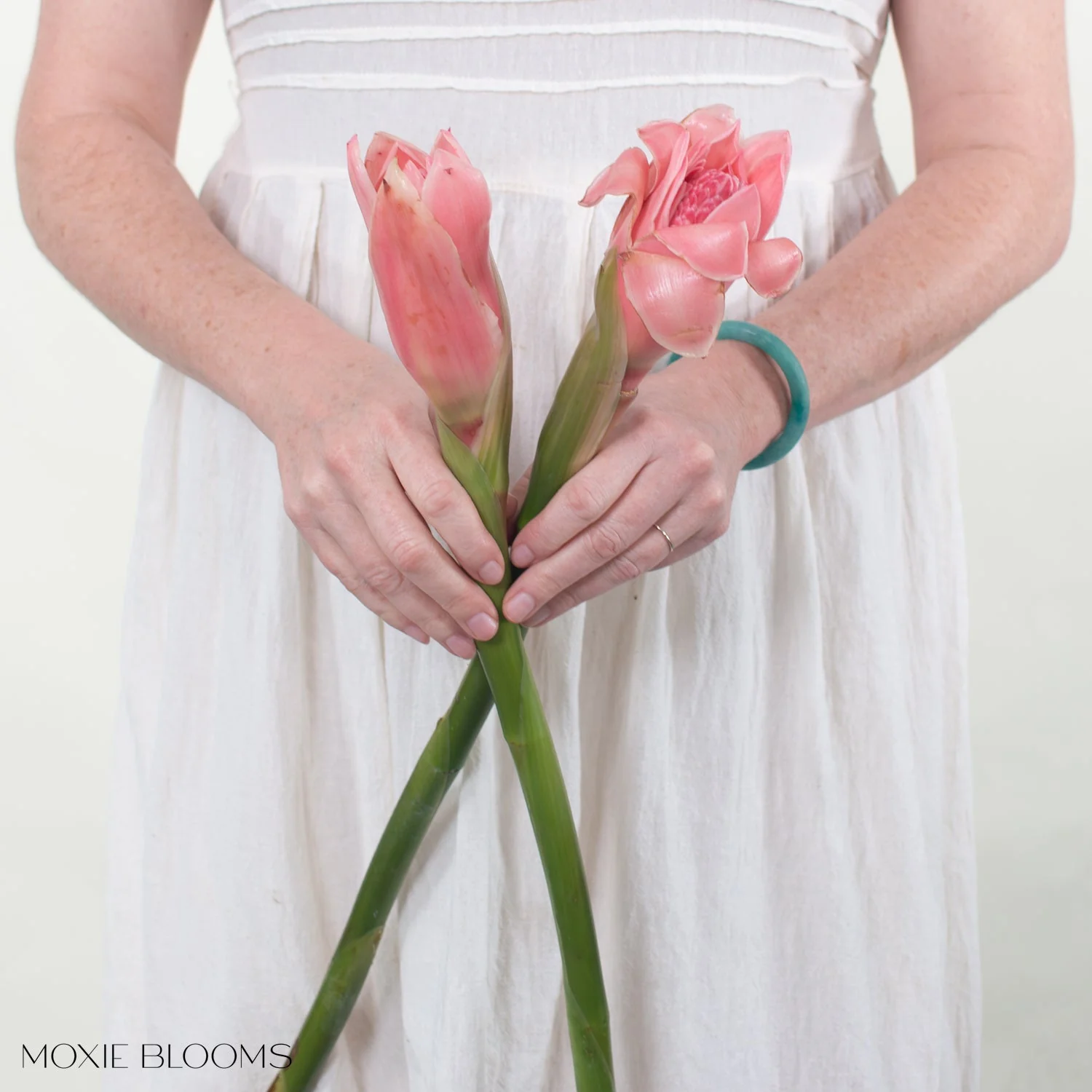Pink Torch Ginger - Image 4