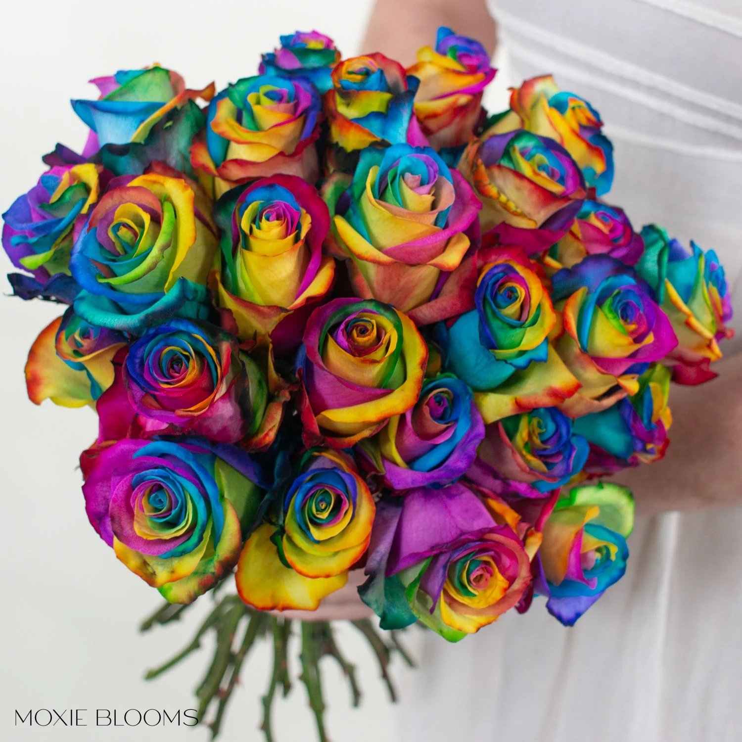 Rainbow Novelty Rose - Image 6