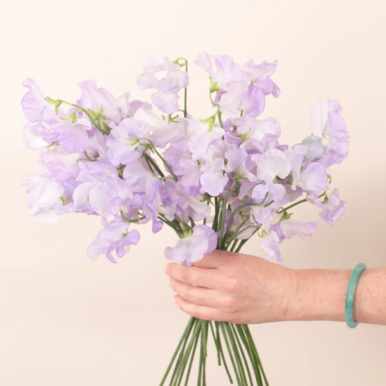 Lavender Sweet Pea - Image 5